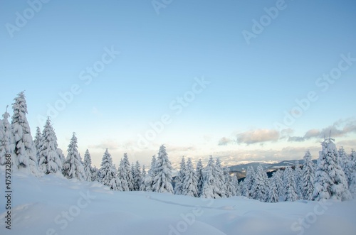 winter landscape in the mountains