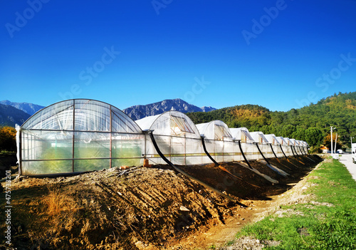 Rows of greenhouses on the plantation, blue sky, day