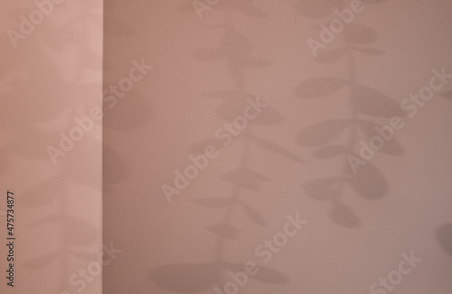 Creative copyspace with shadows of 
leaf on a soft pink wall. Top view of leaves shades on the light pastel background. Flat lay style. Minimal summer concept with flower shades.