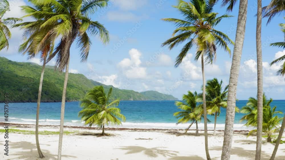 Amazing nature of the sea coast with white sand and beautiful palm trees. An attractive and cozy wild Rincon Beach in sunny weather. The long, fluffy branches of tall palms sway in the sea breeze. Amazing nature of the sea coast with white sand and beautiful palm trees. An attractive and cozy wild Rincon Beach in sunny weather. The long, fluffy branches of tall palms sway in the sea breeze.