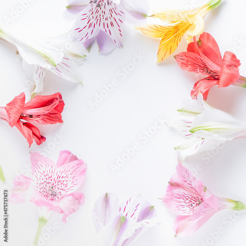 Flowers frame on white. Alstroemeria flowers on a white background. High quality photo