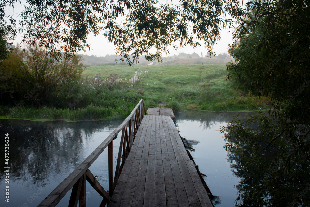 View of the footbridge over a narrow river among the trees. Summer morning and fog among the trees. Wooden bridge over the river View of the footbridge over a narrow river among the trees. Summer morning and fog among the trees. Wooden bridge over the river