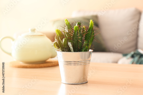 Flowerpot with cactus on table in room