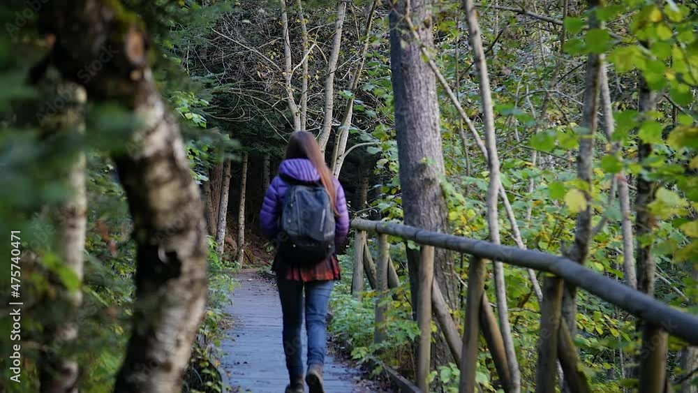 Woman walking in wooden path through forest at Aiguestortes National Park, Catalonia, Spain.
Parallax camera movement, mid angle, hd. Woman walking in wooden path through forest at Aiguestortes National Park, Catalonia, Spain.
Parallax camera movement, mid angle, hd.