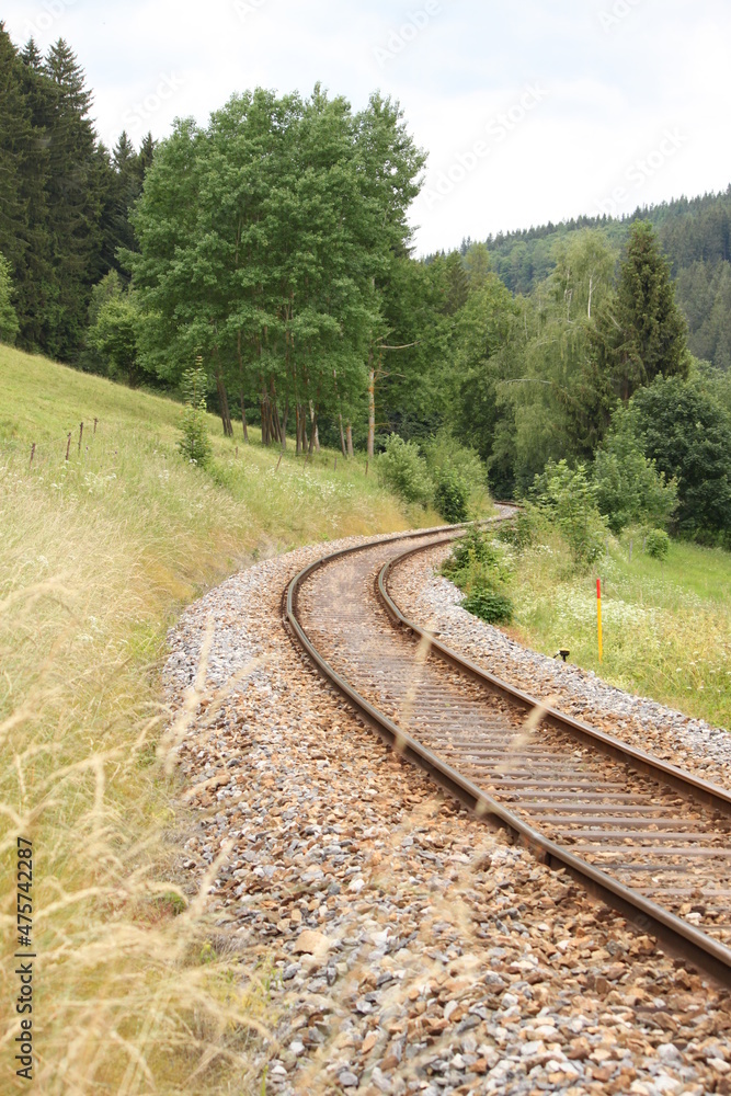 railway tracks leading through a mountain landscape across a meadow and disappearing into the forest