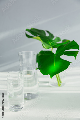 Morning glass and jar of clean water with two big green leaves