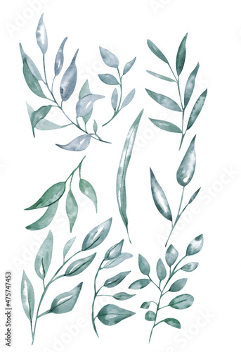 Set of green leaves painted by watercolor. Hand drawn illustration. Set plants elements. tropical collection. Hand drawn watercolor illustration of abstract green branch. 