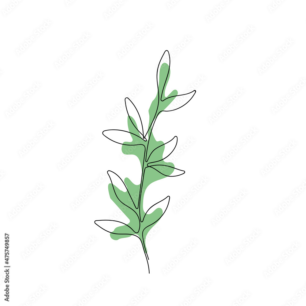 set of flowers and leaves, one line design, isolated, modern minimalism