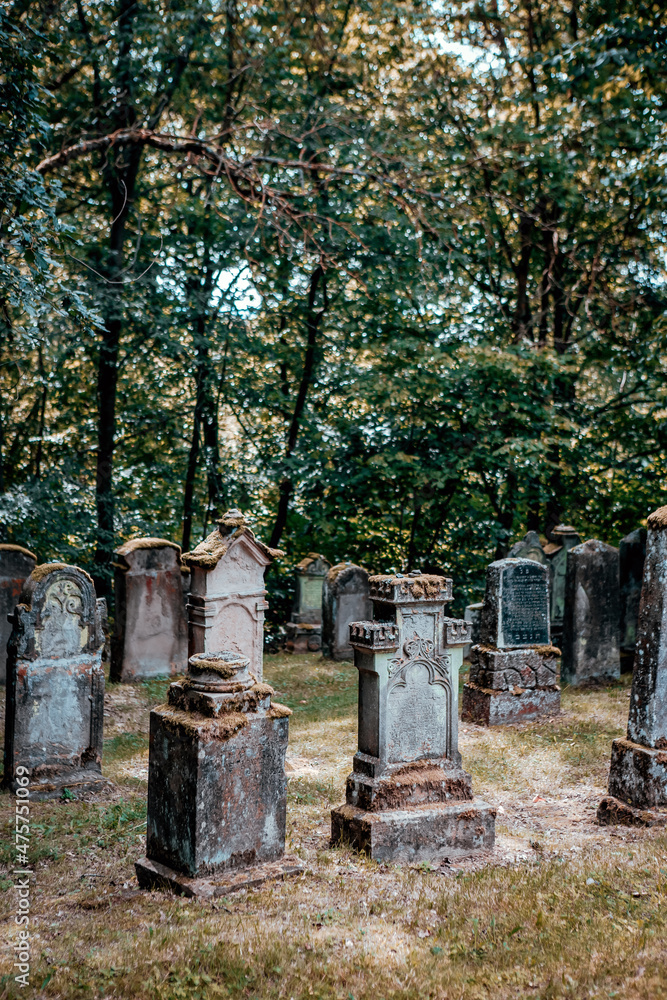 old abandonded jewish cemetery in forest old abandonded jewish cemetery in forest