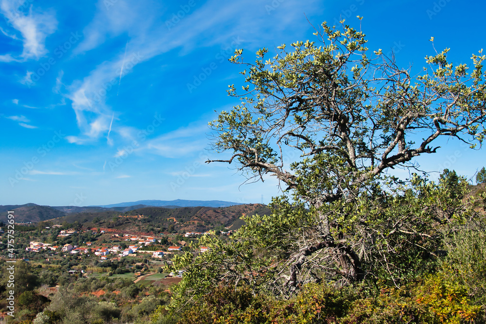 The agricultural village of Vale Fuzeiros, Algarve, Portugal, surrounded by hills with dry Mediterranean scrubland
The agricultural village of Vale Fuzeiros, Algarve, Portugal, surrounded by hills with dry Mediterranean scrubland