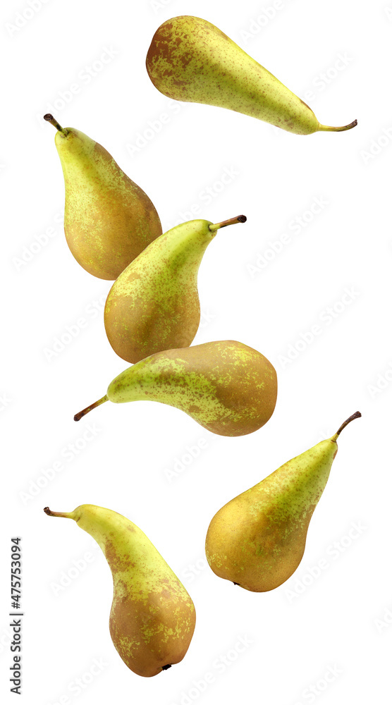 falling pears isolated on a white background with a clipping path. pear conference. falling pears isolated on a white background with a clipping path. pear conference.