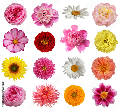Fototapeta Naklejka Na Ścianę i Meble -  collection of flowers isolated on white background, top view