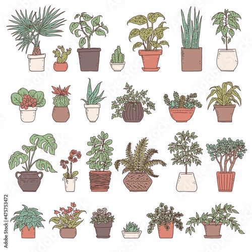 Set house green plants. Indoor and outdoor landscape garden potted plants isolated on white. Vector houseplant in flower pot outline doodle illustration.