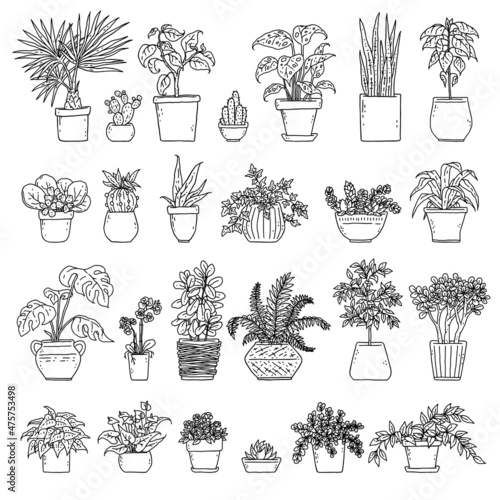 Set house potted plants. Vector indoor black and white houseplant in flower pot outline doodle illustration.