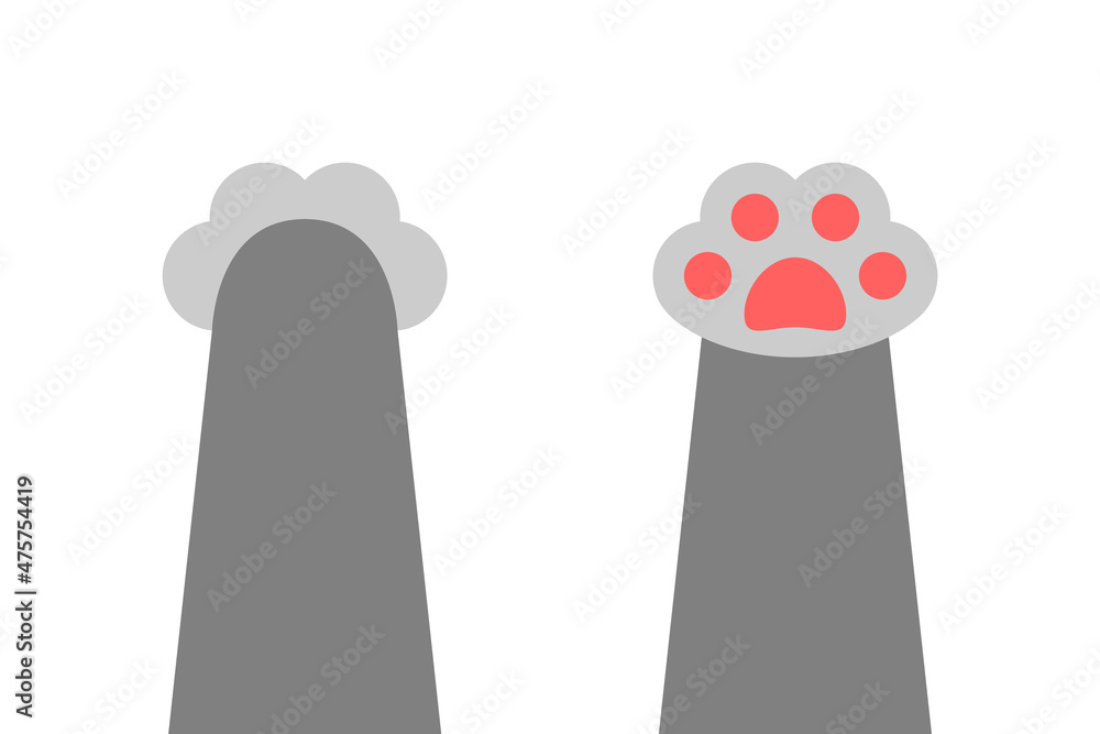 Fotografie Cartoon cat paws isolated on white background