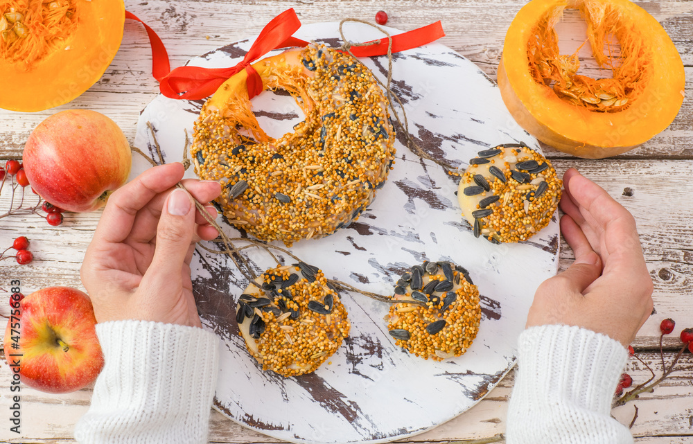 Female hands hold treats for wild birds in winter. Homemade pumpkin feed, bacon, millet, seed on a white wooden background. View from above.