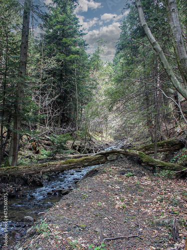 Bieszczady Mountains, Poland, the wildest region in the Poland, Polish Mountains and landscapes, wandering around Poland photo