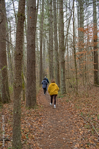 A late fall hike through Yellowwood State Forest, Indiana.