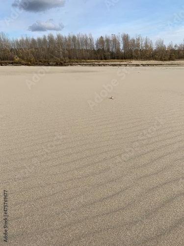 footprints on the beach