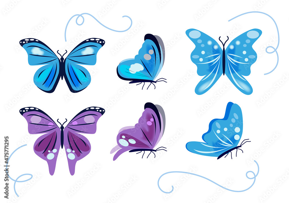 Fototapeta premium Set of beautiful Butterflies