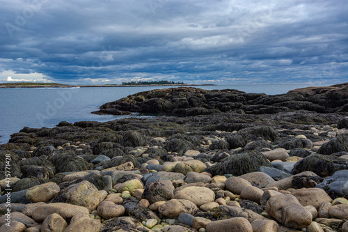 Schoodic Peninsula