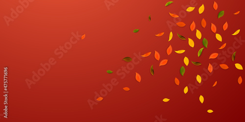 Falling autumn leaves. Red, yellow, green, brown r
