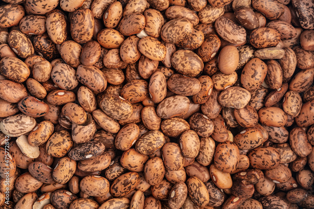 Pinto Beans Pinto Beans