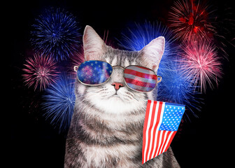 4th of July - Independence Day of USA. Cute cat with sunglasses and American flag on dark background with fireworks