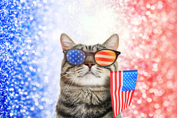 4th of July - Independence Day of USA. Cute cat with sunglasses and American flag on shiny festive background