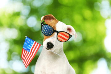 4th of July - Independence Day of USA. Cute dog with sunglasses and American flag on blurred green background, bokeh effect
