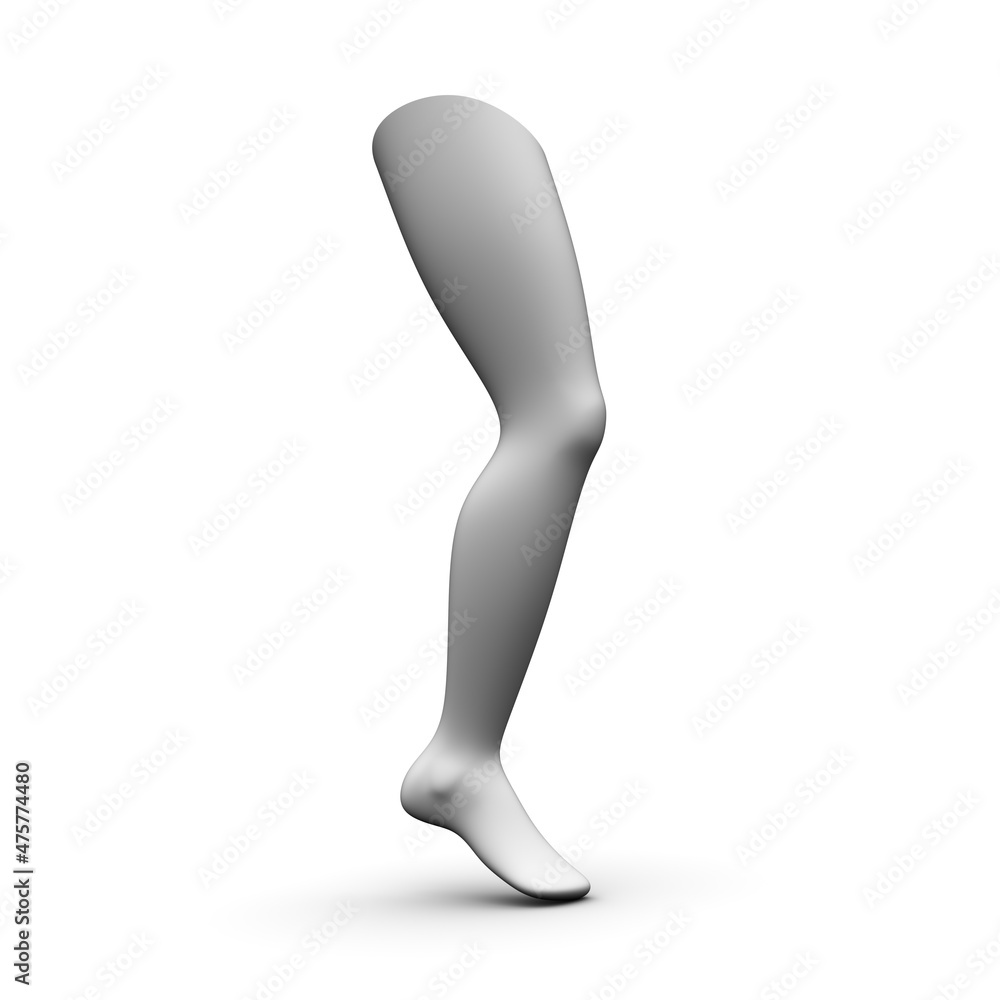 Three-dimensional model of human leg isolated on white background. 3D illustration. Three-dimensional model of human leg isolated on white background. 3D illustration.