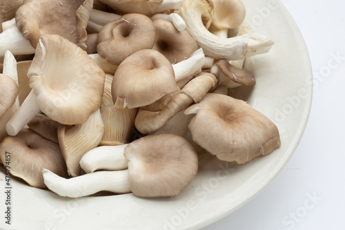 Fresh oyster mushroom in white plate