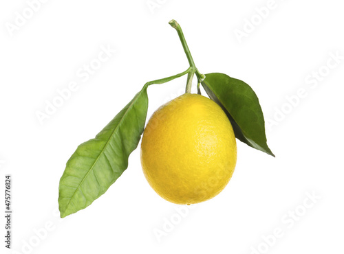Fresh ripe lemon fruit with green leaves isolated on white