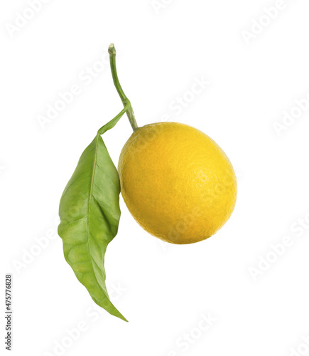 Fresh ripe lemon fruit with green leaf isolated on white