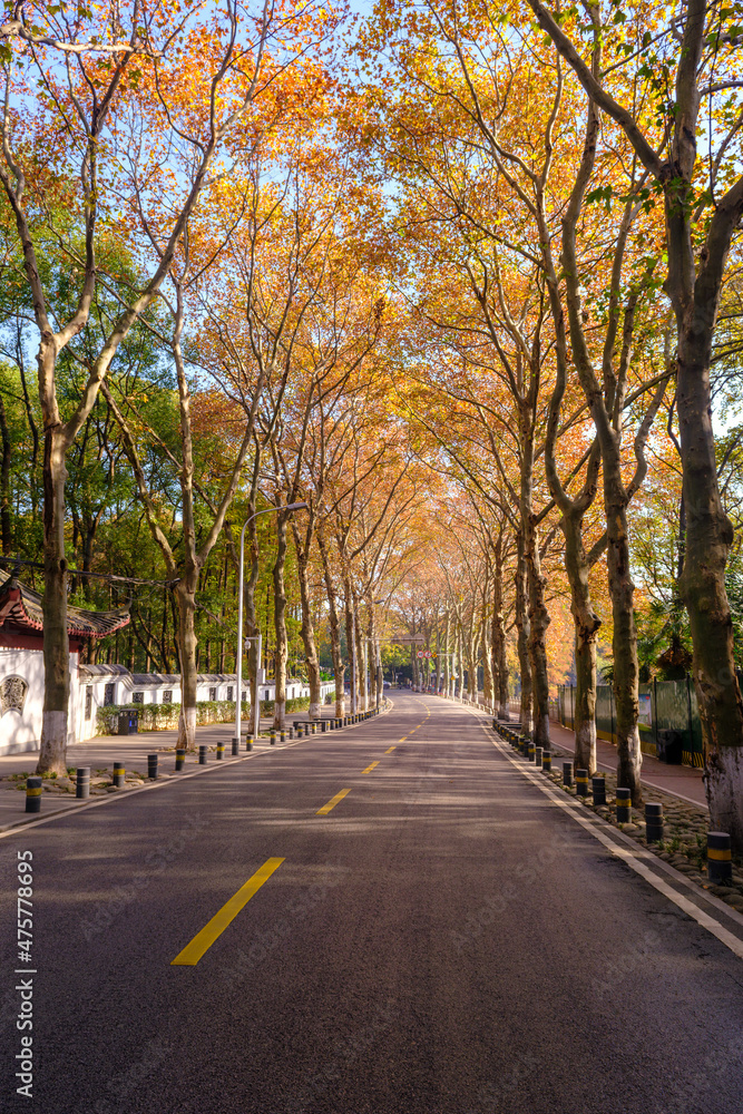 Hubei Wuhan East Lake Scenic Area Late Autumn Scenery