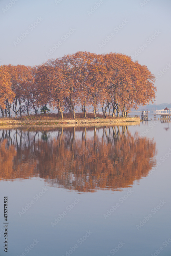 Obraz premium Hubei Wuhan East Lake Scenic Area Late Autumn Scenery