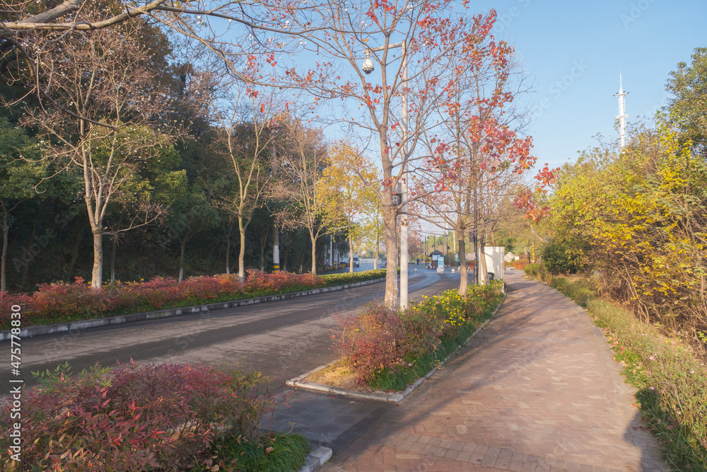 Naklejka premium Hubei Wuhan East Lake Scenic Area Late Autumn Scenery
