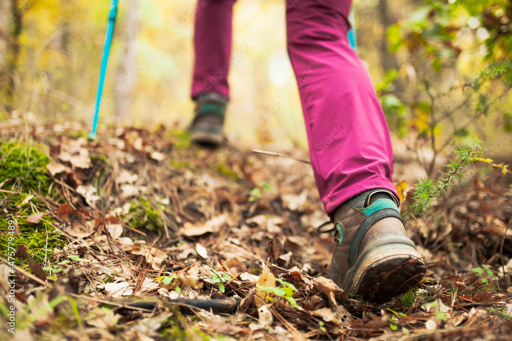 Hiking girl in a mountain. Low angle view of generic sports shoe and legs in a forest. Healthy fitness lifestyle outdoors. Hiking girl in a mountain. Low angle view of generic sports shoe and legs in a forest. Healthy fitness lifestyle outdoors.