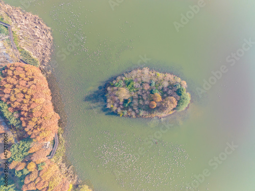 Hubei Wuhan East Lake Scenic Area Late Autumn Scenery photo