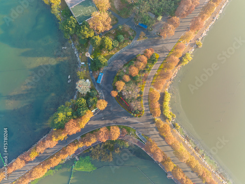 Hubei Wuhan East Lake Scenic Area Late Autumn Scenery photo