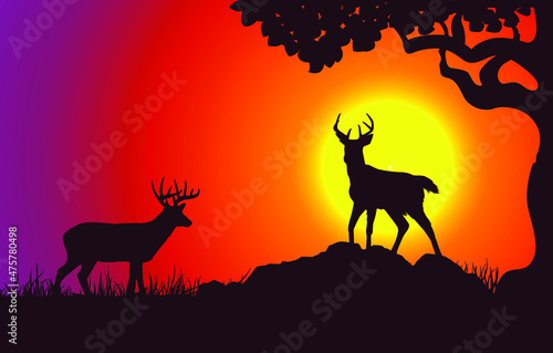 Zodiac sign and symbol on sunset landscape background illustration for banner, wallpaper, background. Vector graphic eps 10.