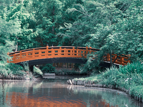 christmas tree in the snow