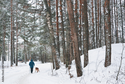 Man with dog on a leash walking on snowy pine forest in winter