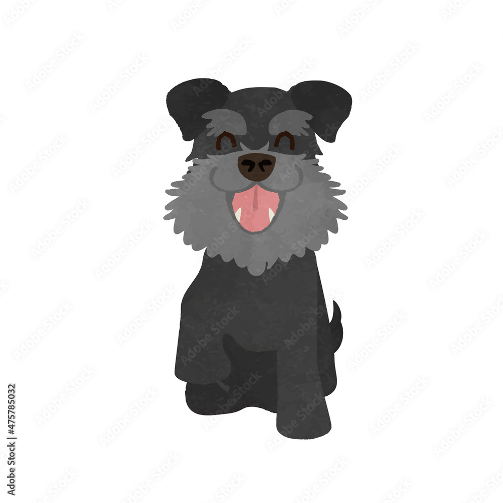 Fototapeta premium Cute Schneiser dog to hand