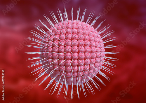 varicella zoster virus is the cause of herpes in humans. Microscopic magnification