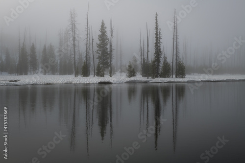 Grayscale landscape in Wyoming, Yellowstone national park in winter