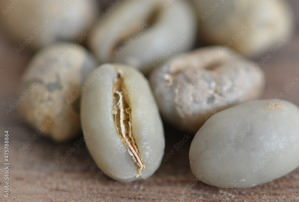 Arabica coffee beans which are polyembryonic in single form, known as Lanang Coffee beans Arabica coffee beans which are polyembryonic in single form, known as Lanang Coffee beans