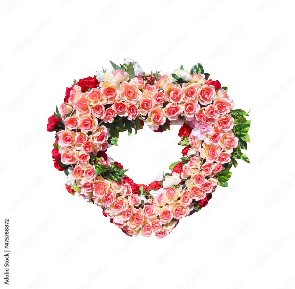 Colorful pink red rose flower blooming in heart shape patterns isolated on white background , clipping path for Wedding , mothers day or Happy Valentine's Day Colorful pink red rose flower blooming in heart shape patterns isolated on white background , clipping path for Wedding , mothers day or Happy Valentine's Day