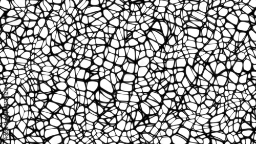 Abstract Spider Web Blood Vein Black And White Background