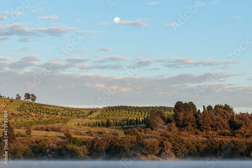Moon over National Arboretum, Lake Burley Griffin, ACT, October 2021 photo